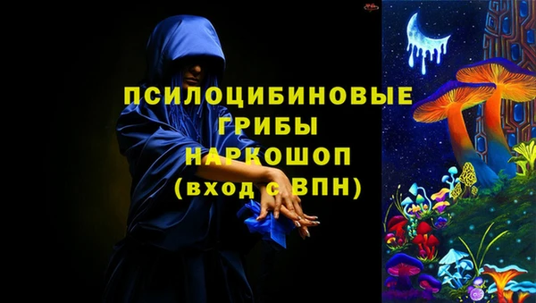 стаф Вяземский