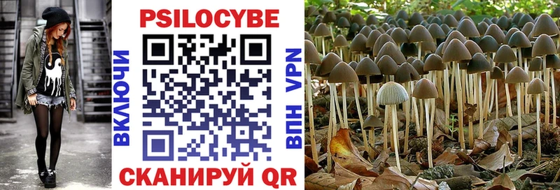 мега как войти  Северобайкальск  Галлюциногенные грибы GOLDEN TEACHER 